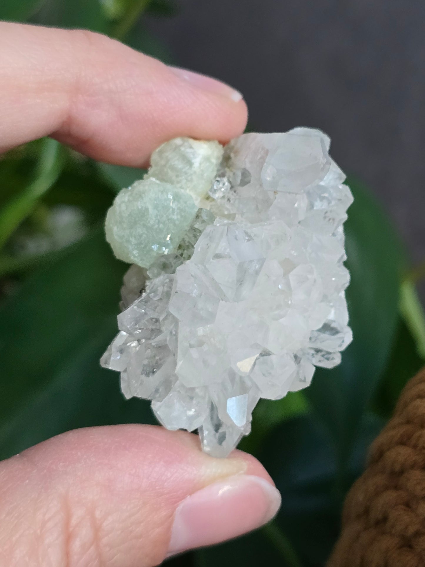 Prehnite and Epidote on Quartz Matrix