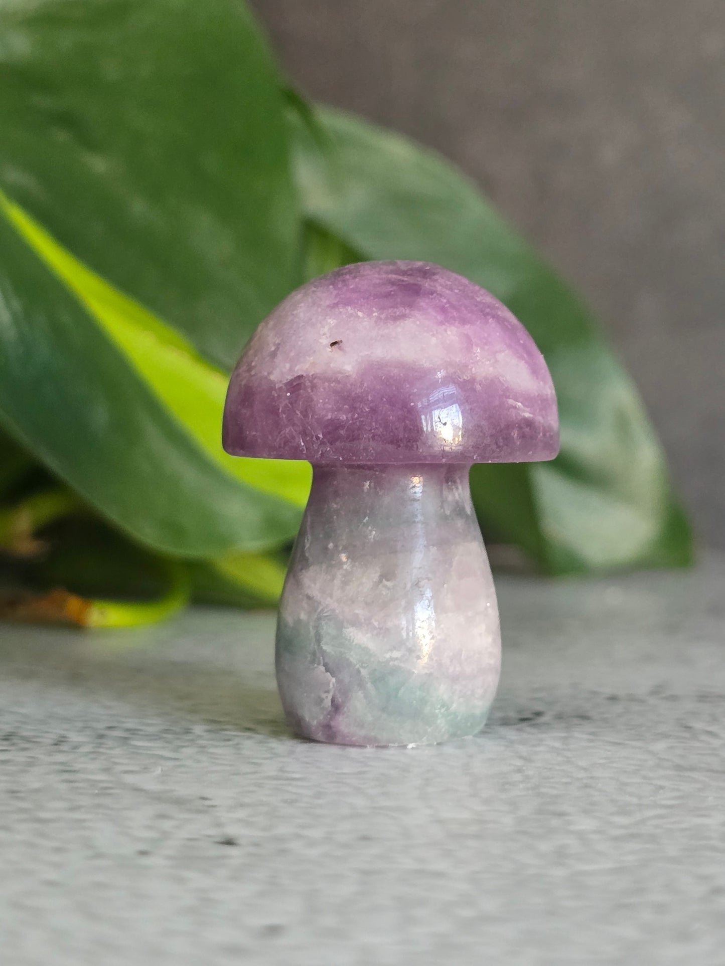 Fluorite Mushroom