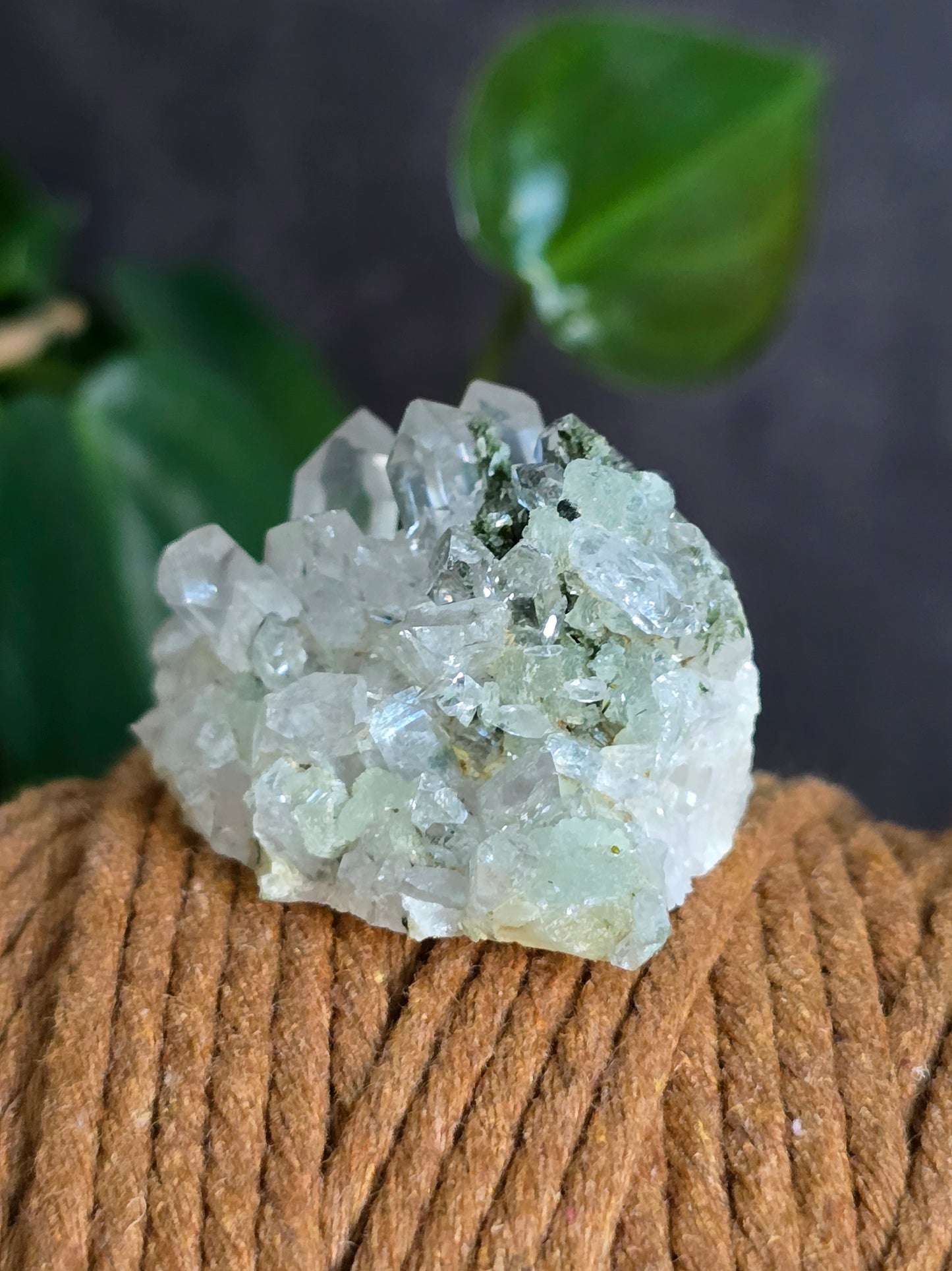 Prehnite and Epidote on Quartz Matrix