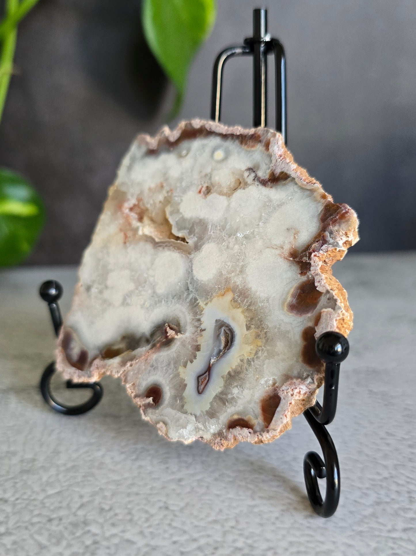 Argentinian Crazy Lace Agate Slab