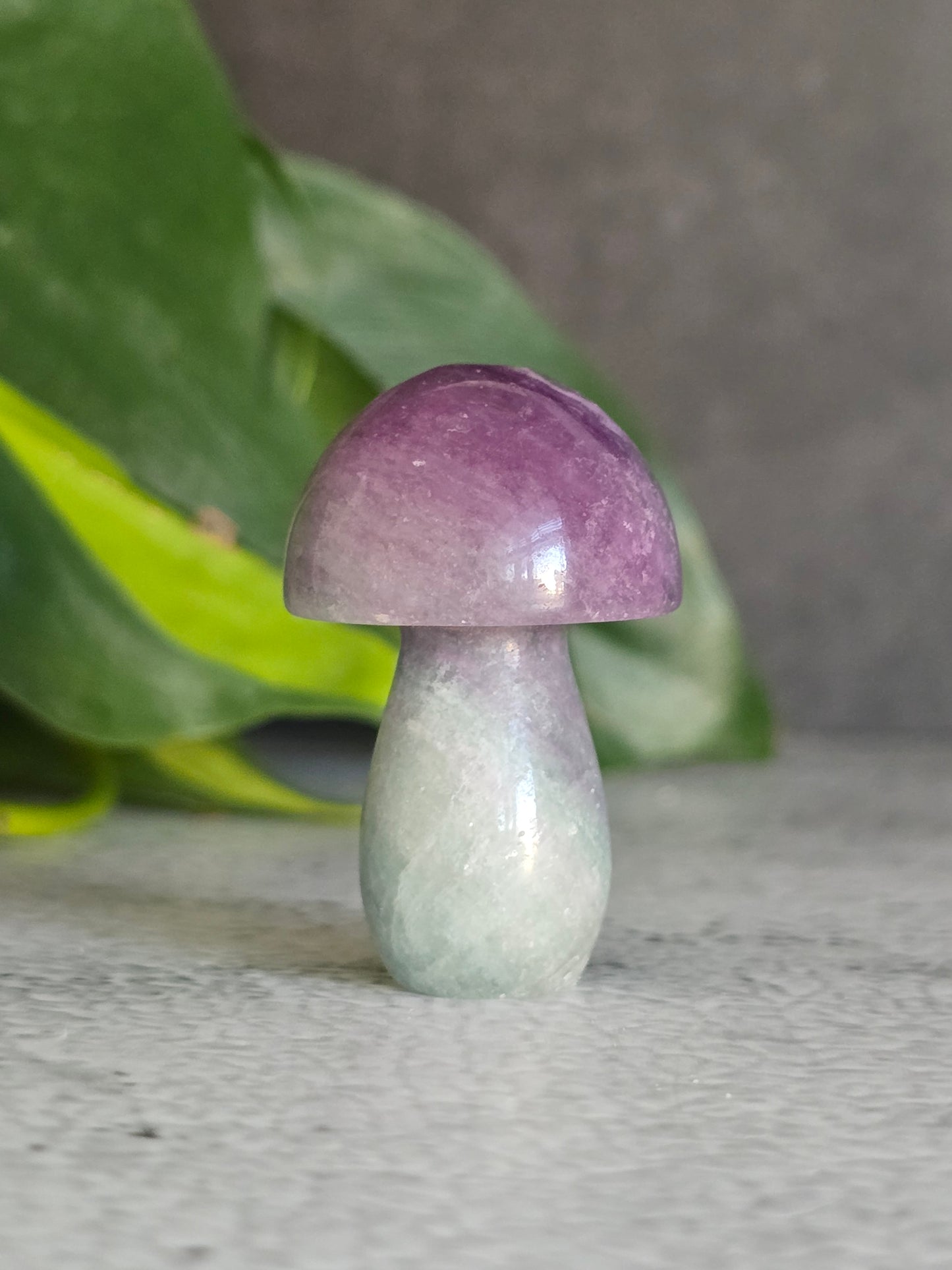 Fluorite Mushroom