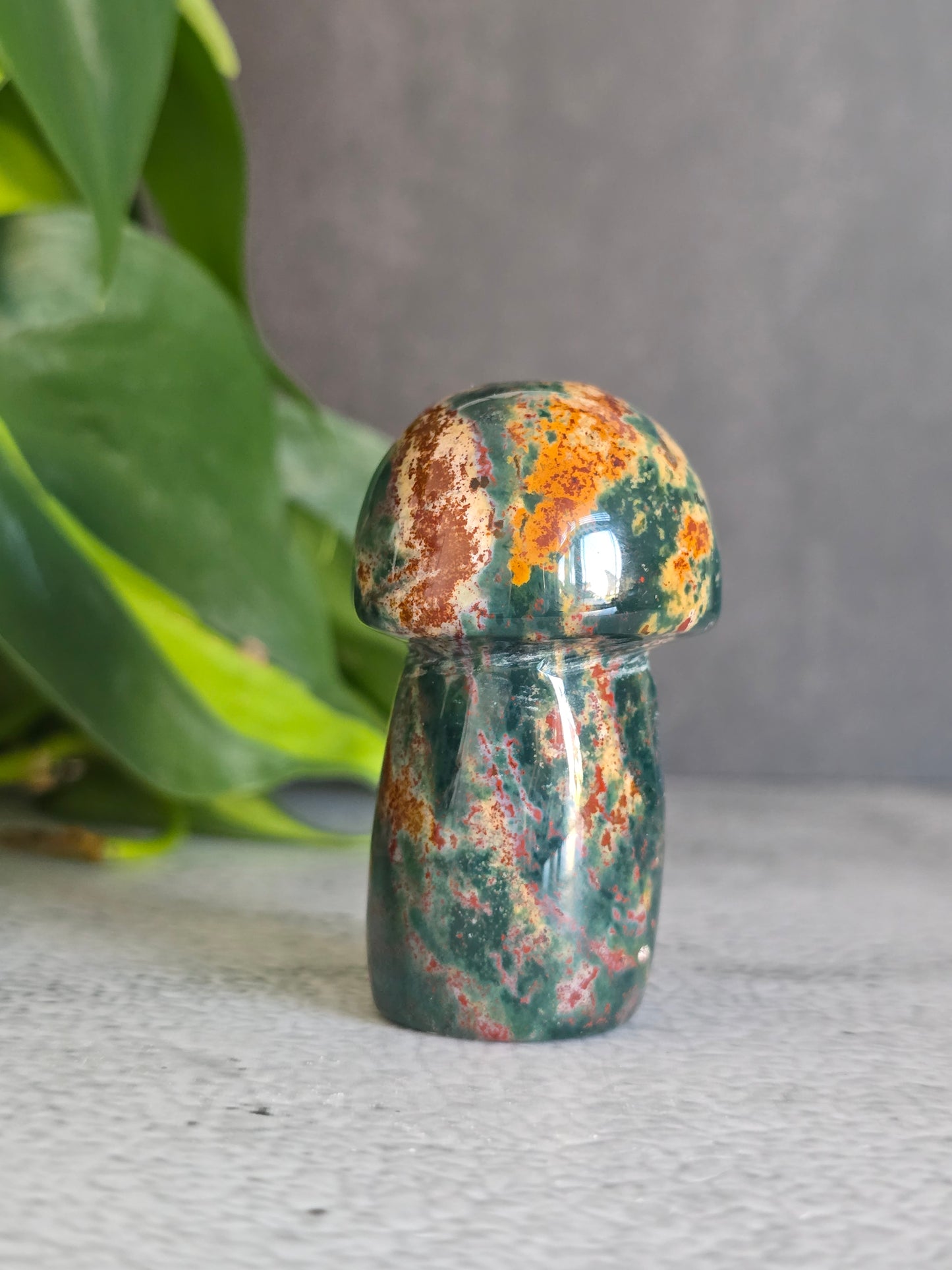 Jasper Mushroom