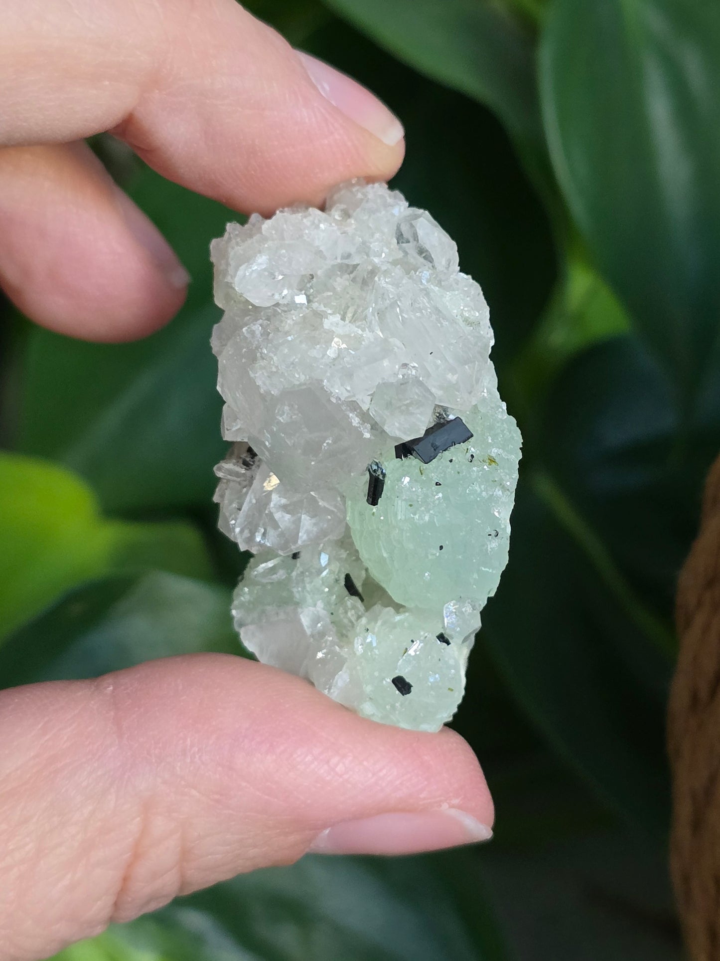 Prehnite and Epidote on Quartz Matrix