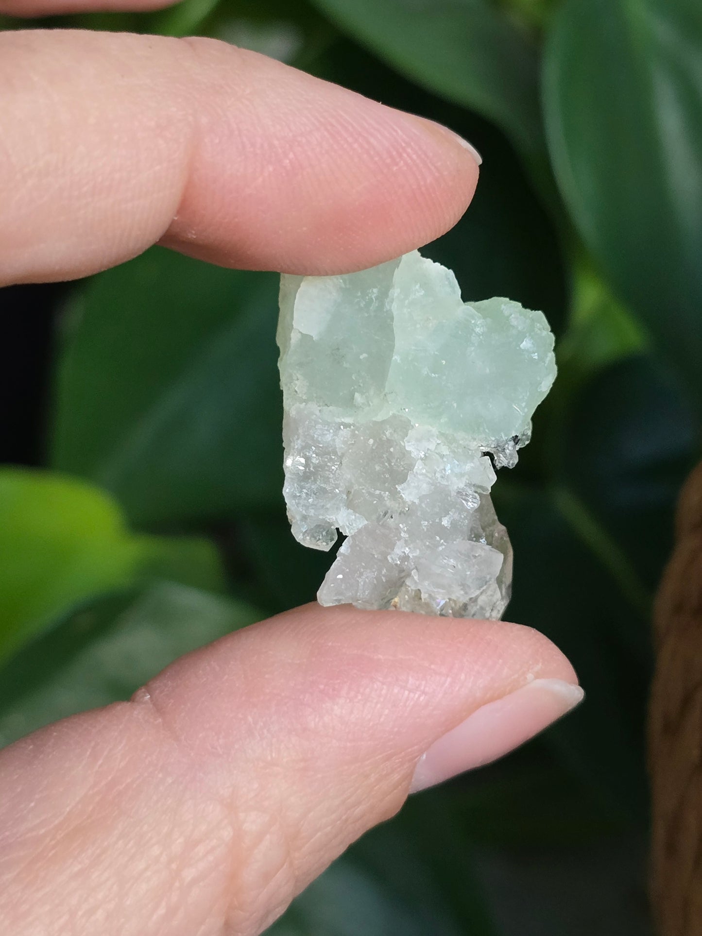 Prehnite and Epidote on Quartz Matrix