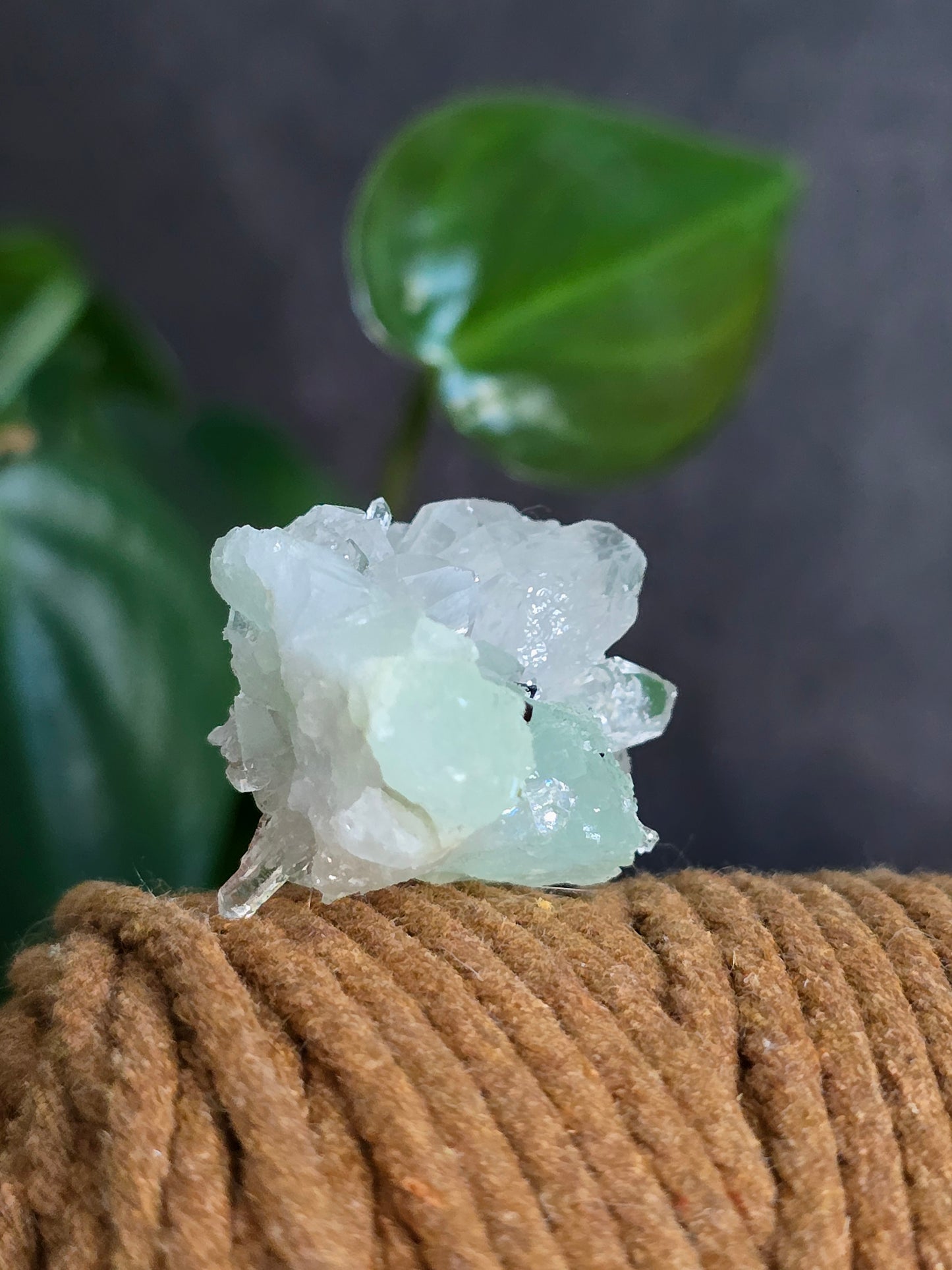 Prehnite and Epidote on Quartz Matrix