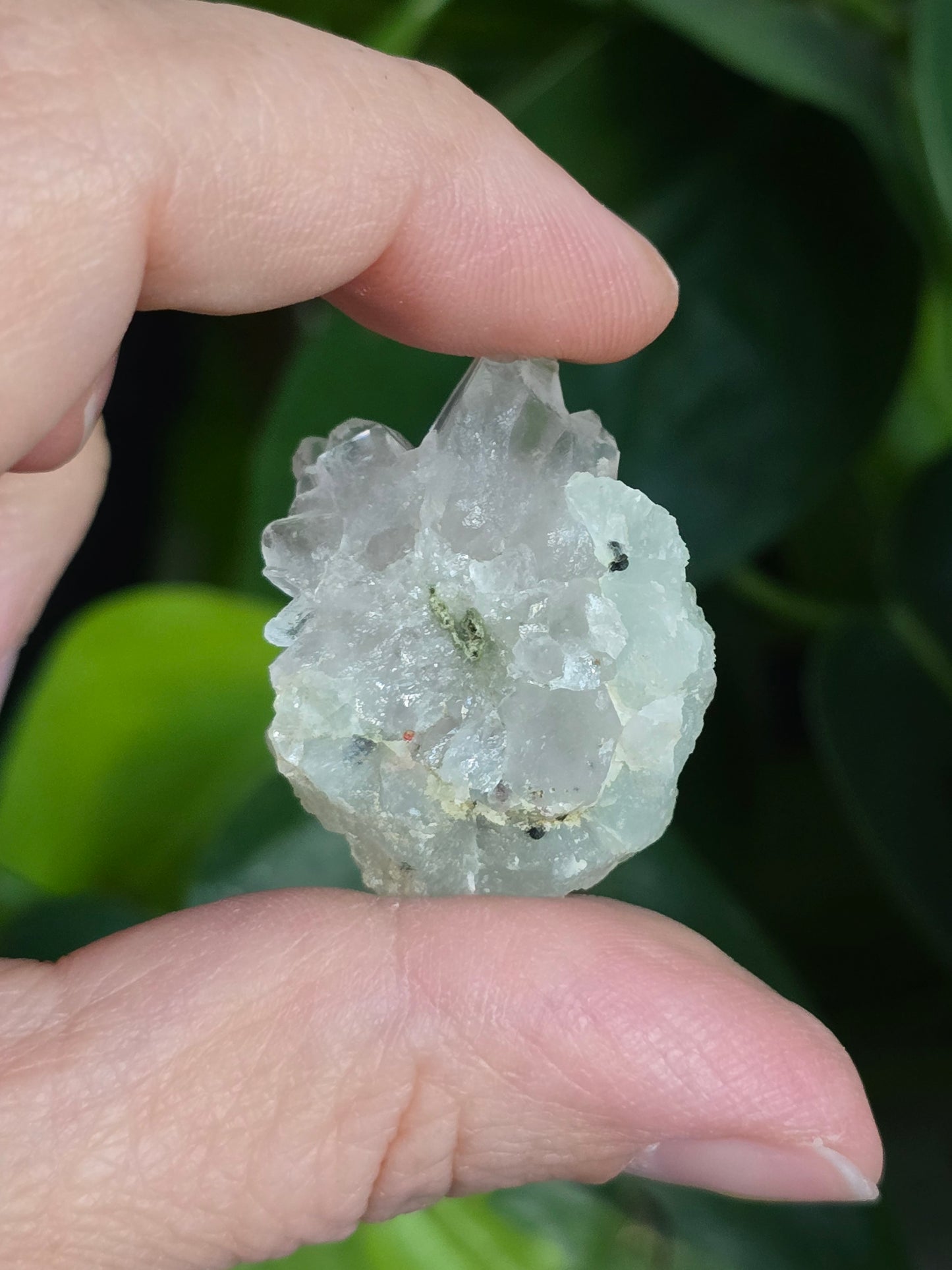 Prehnite and Epidote on Quartz Matrix