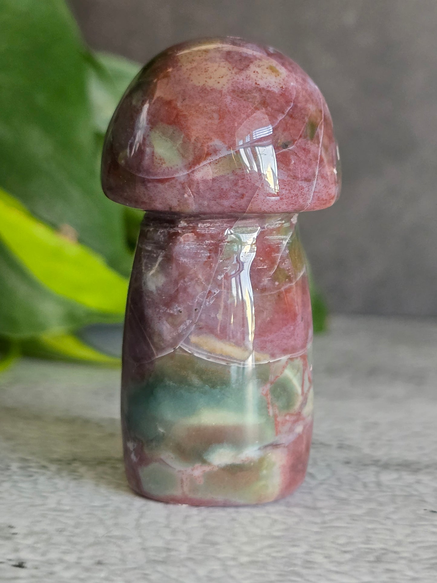 Jasper Mushroom