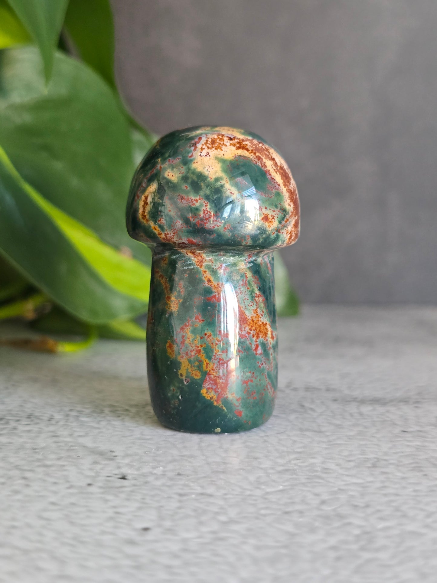 Jasper Mushroom